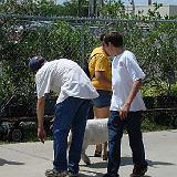 sickles_hs_03_31_2007-06