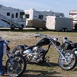 silver_fox_classic_07