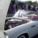 tampa_bay_downs_01_21_2007-32