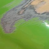 DSCF5259