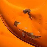 DSCF6985