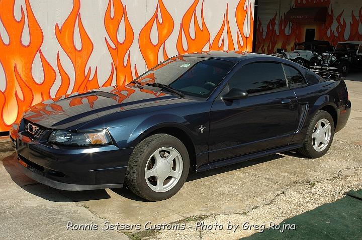 mustang-34.JPG