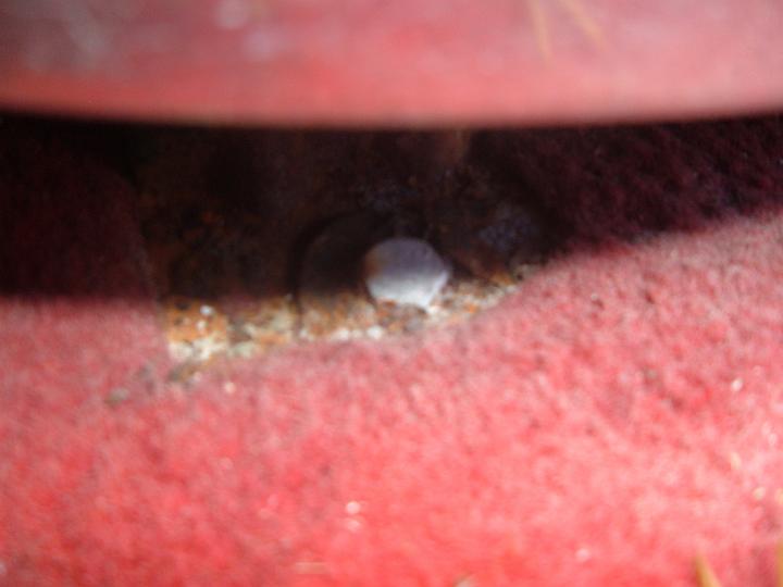 DSCF4719.JPG