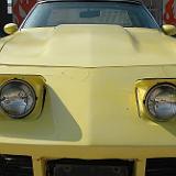 stingray_015