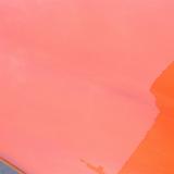 DSCF2395