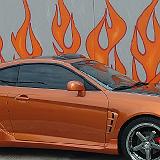 tiburon-153